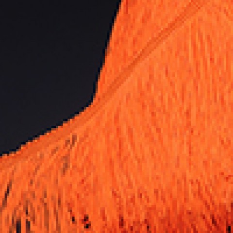Флюоресцентно-Оранжевый