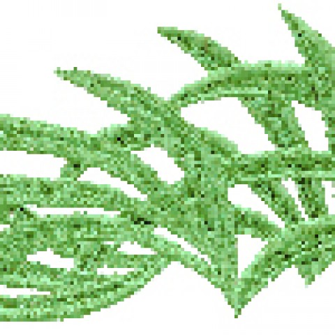Зеленый (модель A)