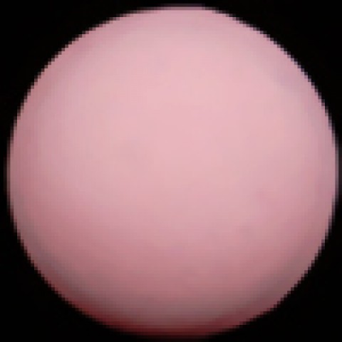 Светло-Розовый матовый